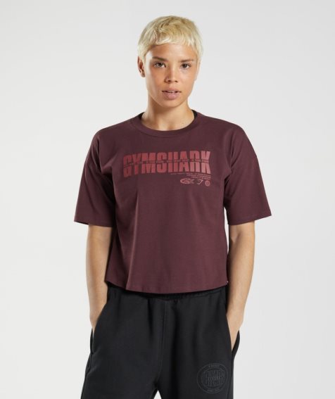 Women's Gymshark GS10 Year Midi Cropped Tops Burgundy | NZ 9CATYE